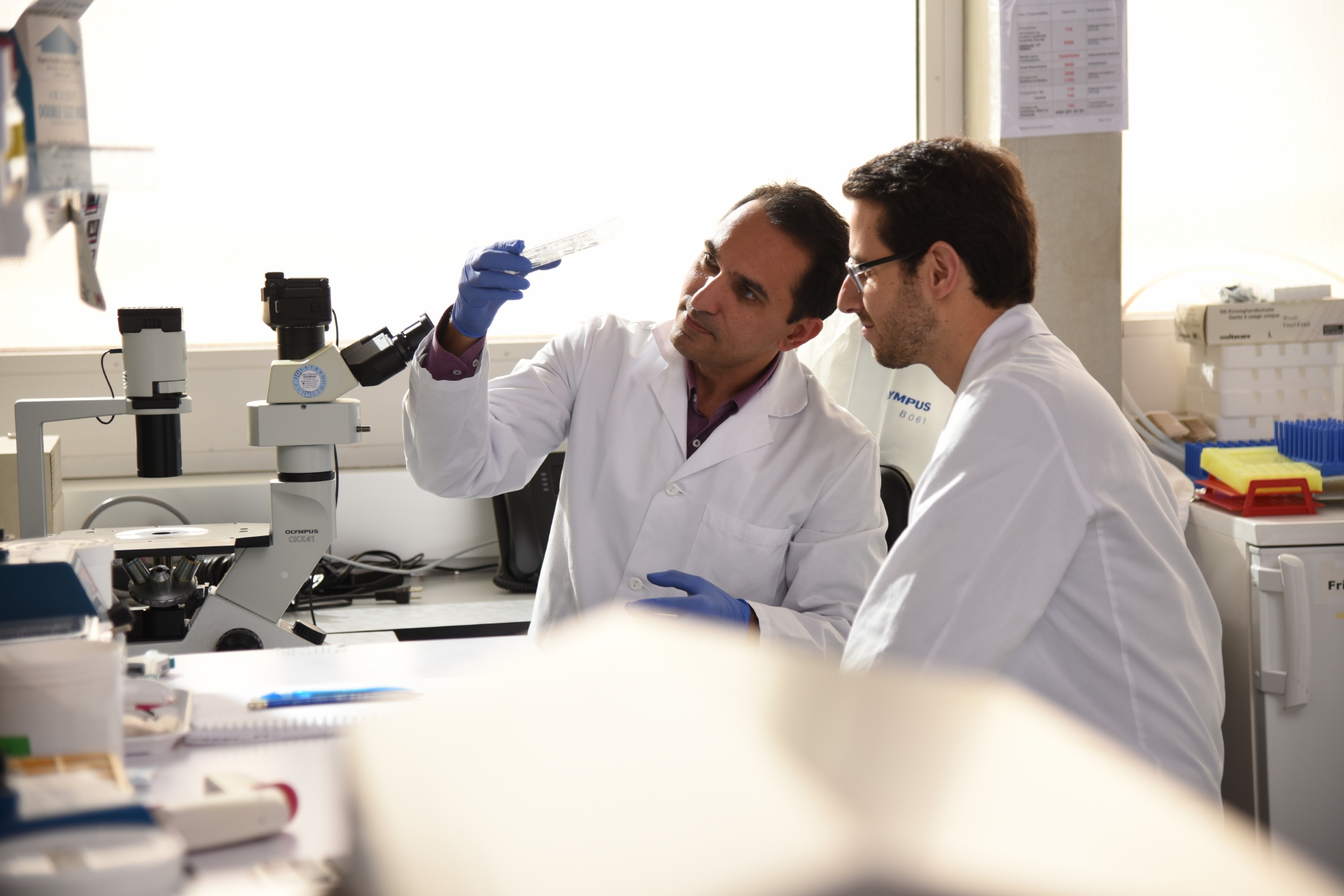 Recherche sur les cellules souches – utilisation des cellules du patient pour une meilleure cicatrisation des plaies en cas d'escarres