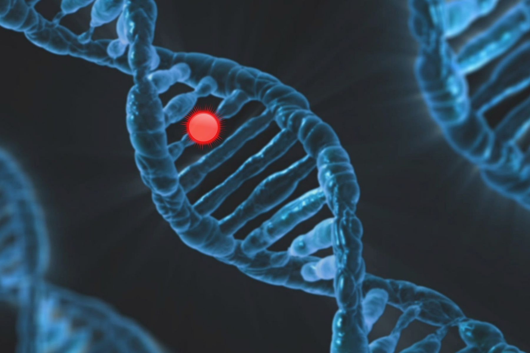 Personalisierte Medizin - Was ist das eigentlich?