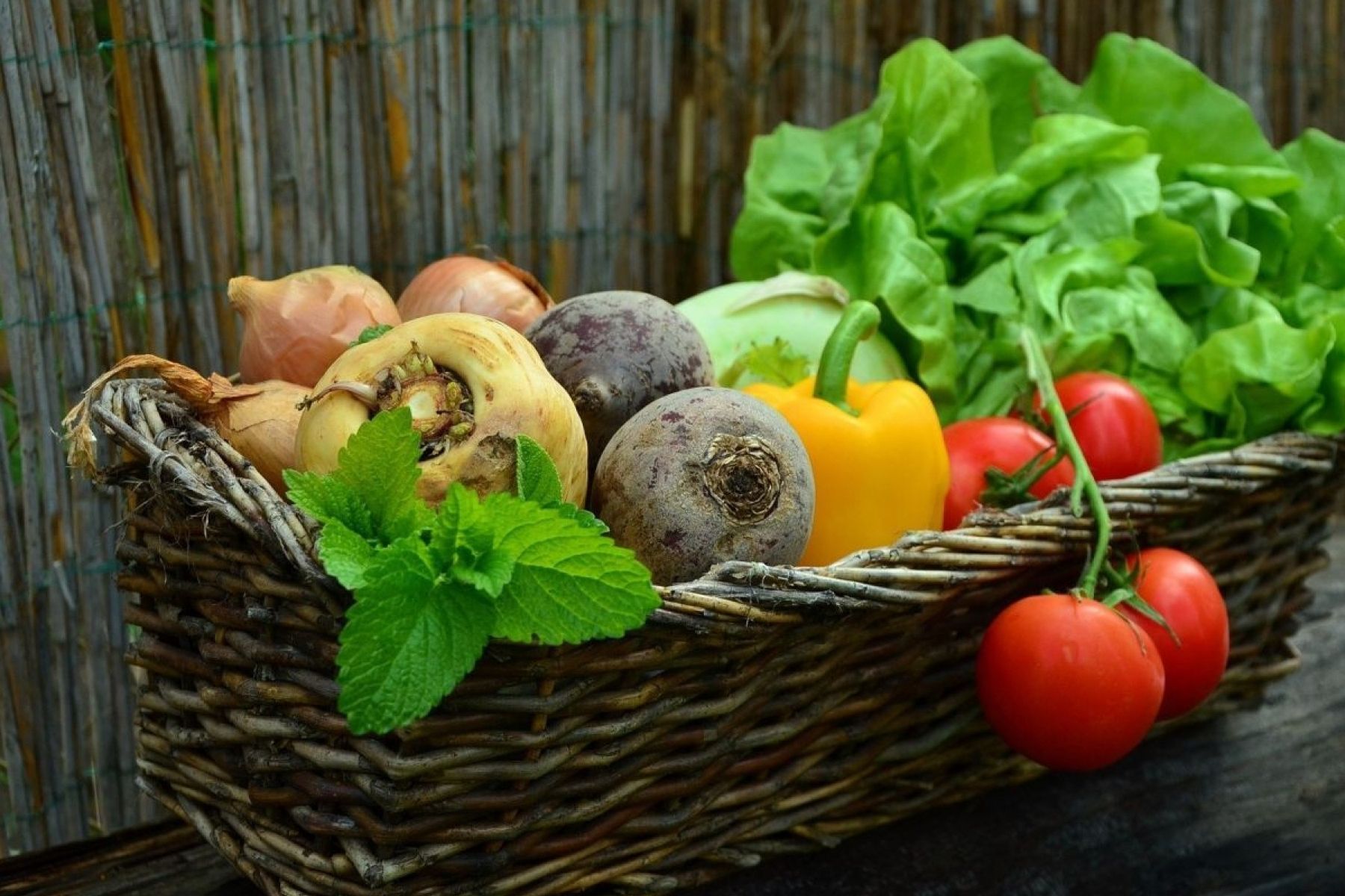 Tipps zur Ernährung bei Querschnittlähmung