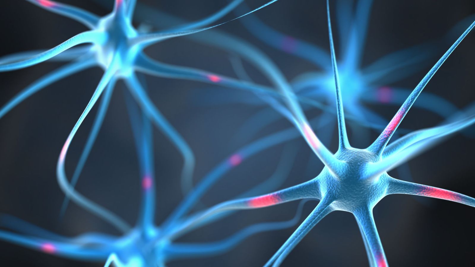 Auf Anhieb die passende Therapie finden
