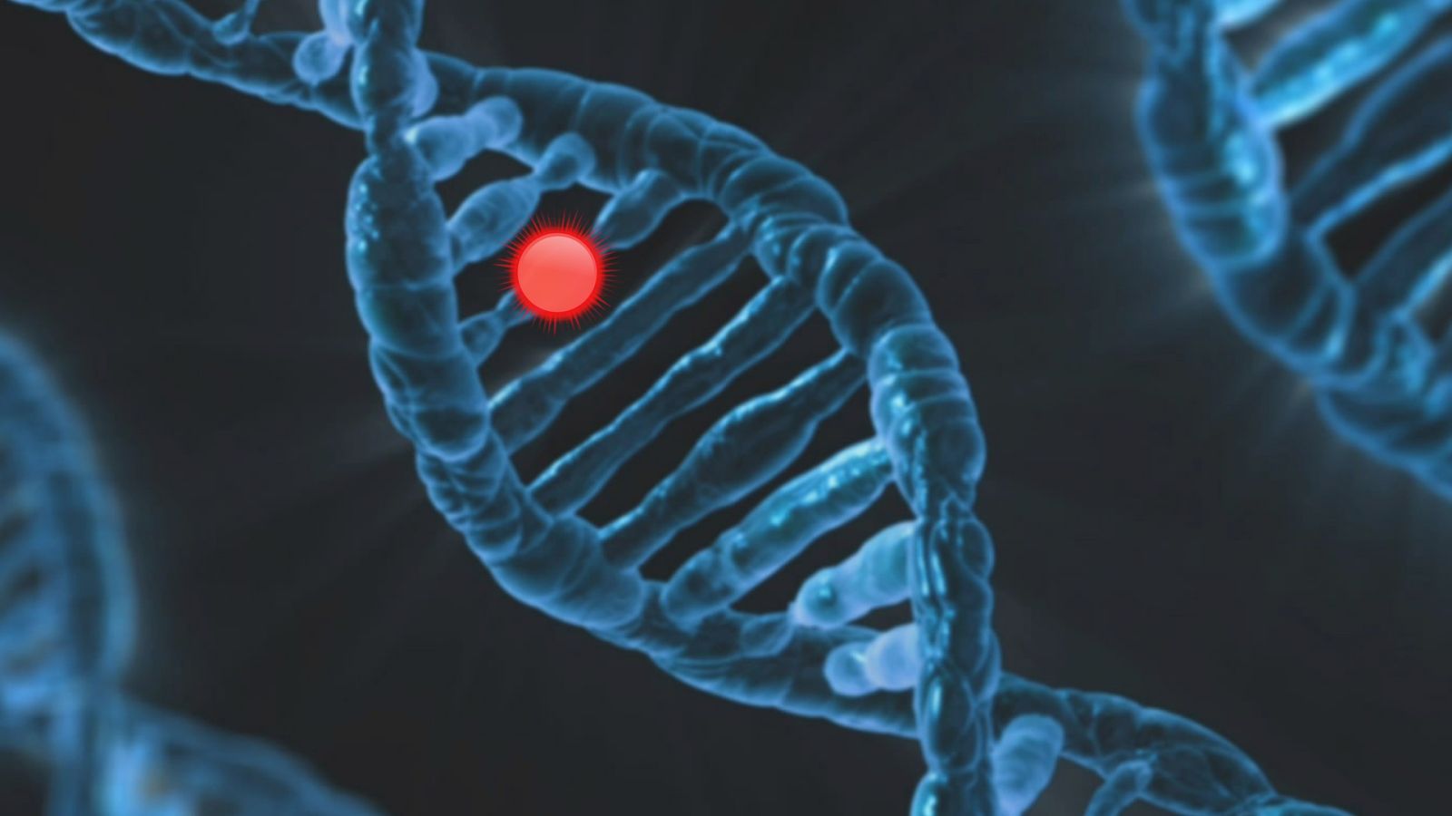Personalisierte Medizin - Was ist das eigentlich?