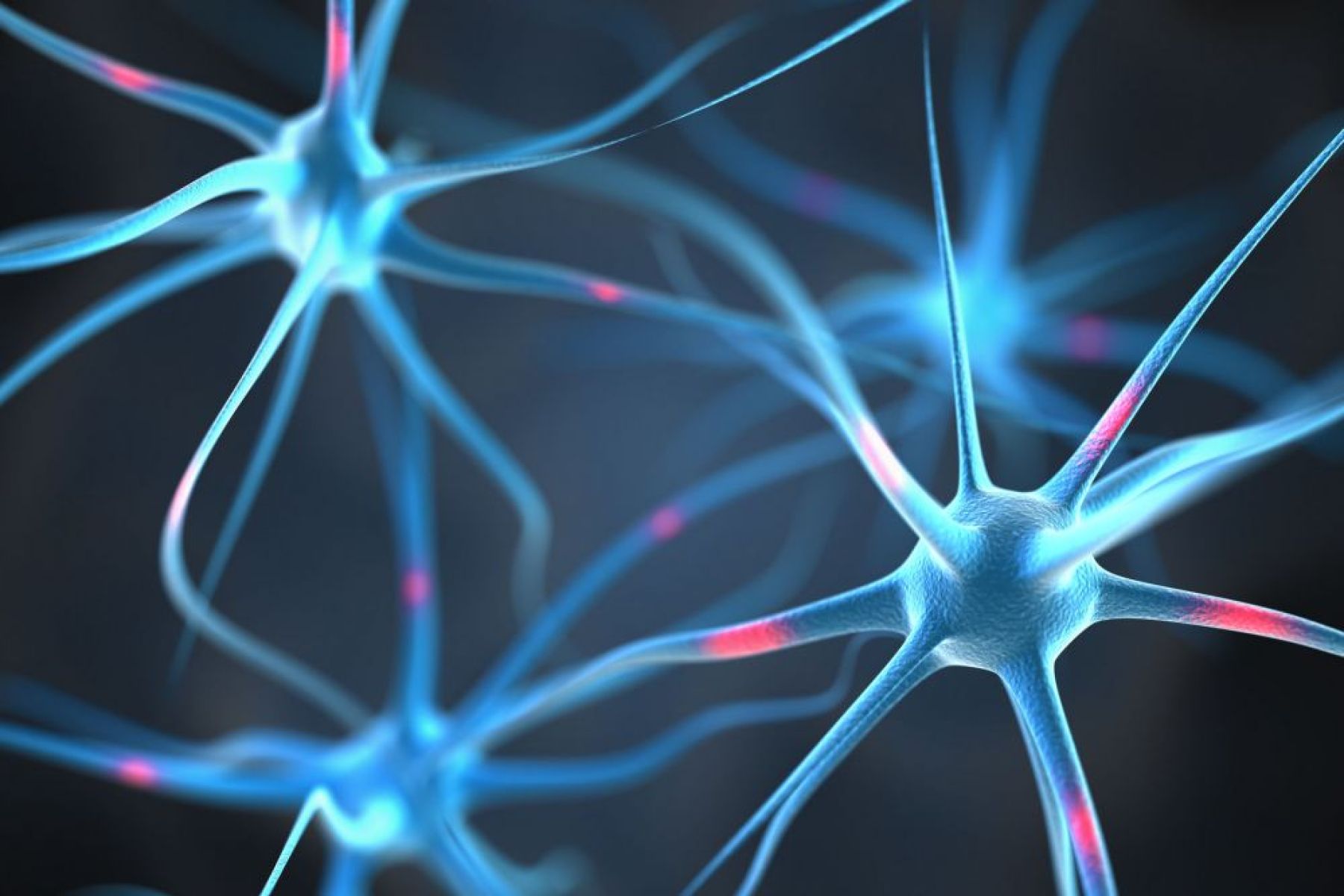 Ricerca sulla neuromodulazione