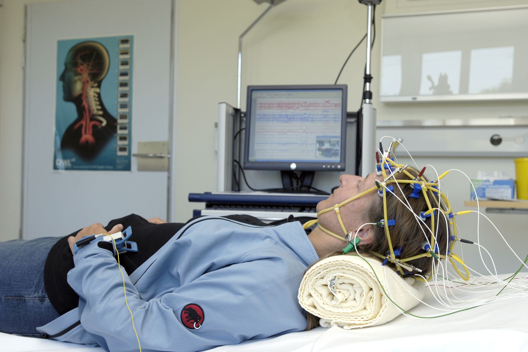 Biomedical aspects